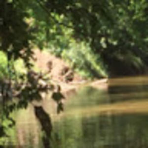 Meet your Posher, Joshua